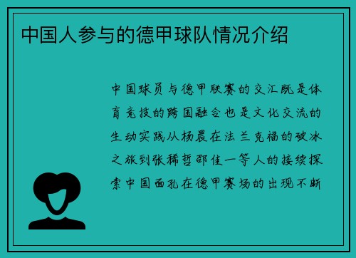 中国人参与的德甲球队情况介绍