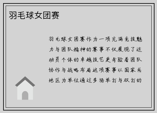 羽毛球女团赛