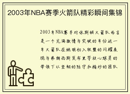 2003年NBA赛季火箭队精彩瞬间集锦